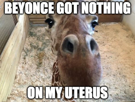 aprilgiraffefunnymemeinfertilityawarenesspregnancyobsession